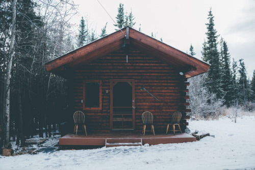 jakeelko:  Downsized and moved a bit further into the woods. Heres a few pictures of our new dry cabin in the woods.  jakeelko.tumblr.com instagram- @lordelko