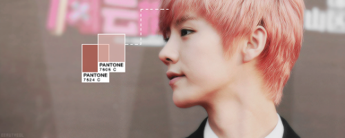 beautyeol:exo pantones ; pink ☆☆ ↳ requested by chancasso and lusasssolid coated 7605 c, solid coate