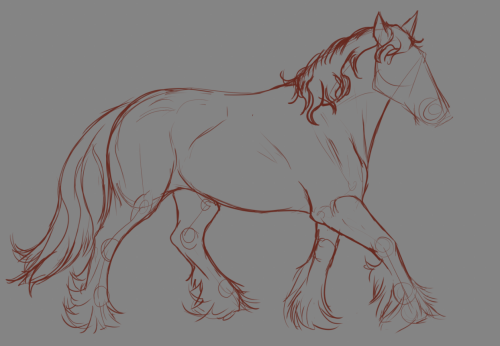 redtailsketches: getting past some of the worst brainfog in my life with a draft horse sketch