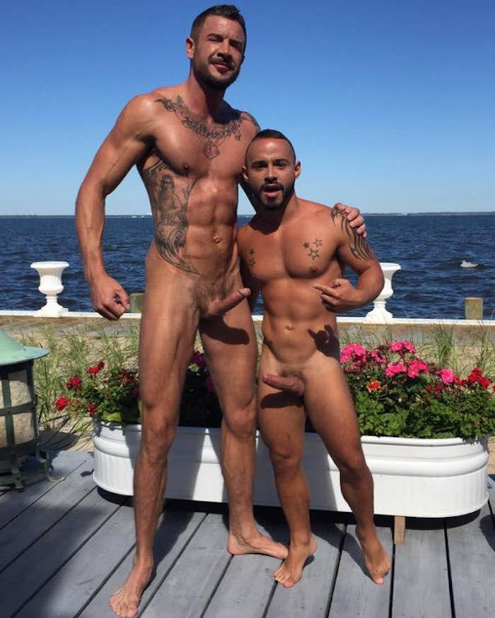 swiss-stallion:  Tall and small collected from the net by SWISS STALLION –&gt; Are