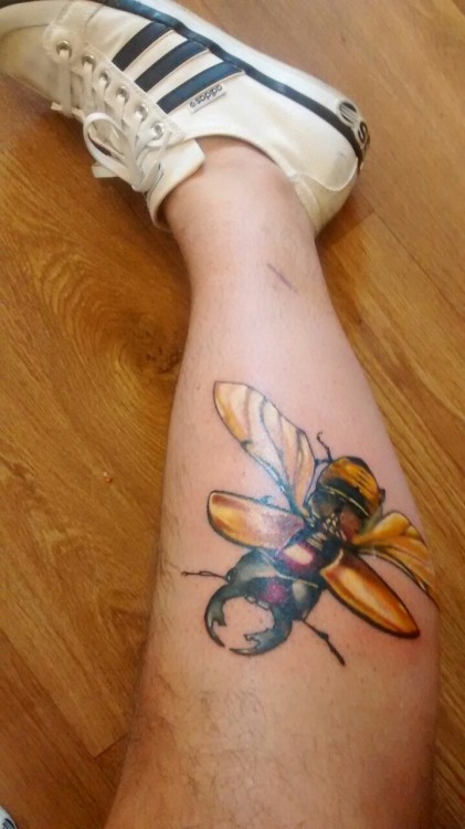 seainsect:  In case u forgot 