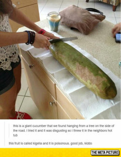 srsfunny:  You Don’t Just Eat Random Fruit You Findhttp://srsfunny.tumblr.com/ 