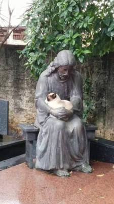 awwww-cute:Kitty found comfort on Jesus’s