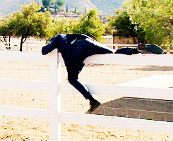 dailypawnee:  Watch out for that fence. 