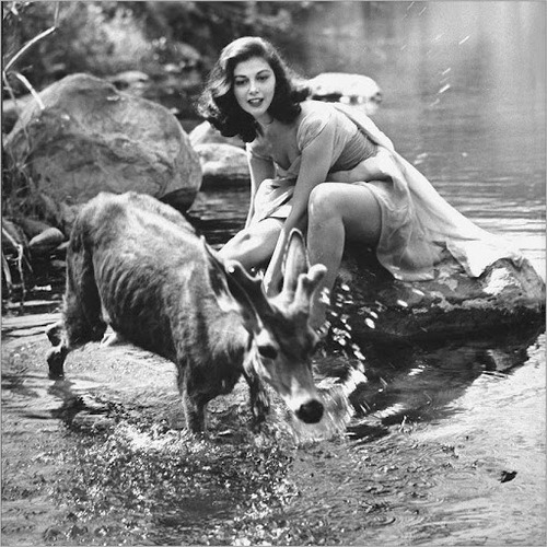 gentlemanlosergentlemanjunkie:Allan Grant, Actress Pier Angeli, 22, clad in strapless chiffon party 