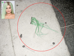 youngwhiteboi:  Kylie Jenner’s Hair Extension after being Attacked Outside of Chris Brown Concert, September 18, 2015 