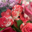 blossomndal