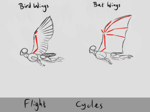 Flight Cycle Animations
