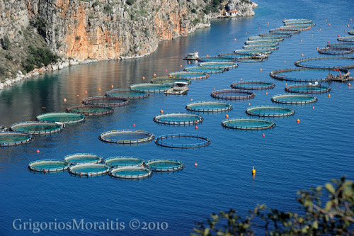 Fish Farm - Greece
shop Art Prints
get the image license