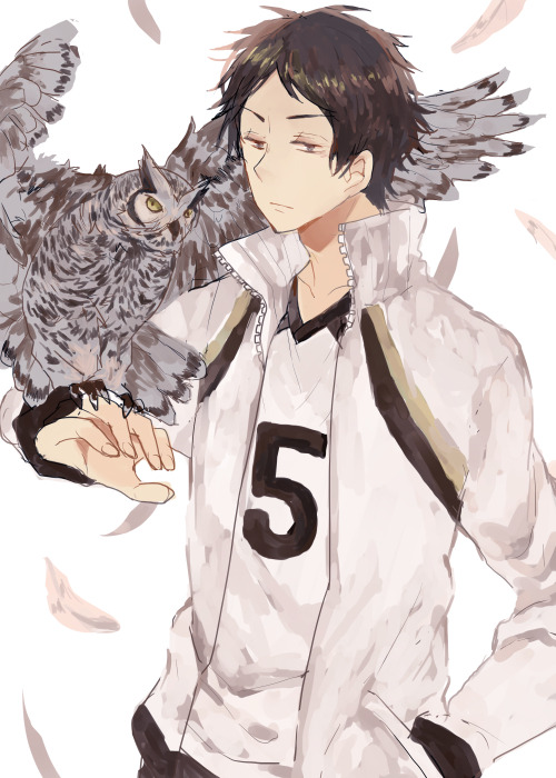 easternbunny:  beloved owl prince