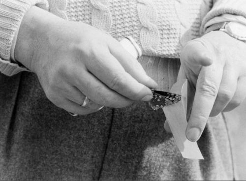 losed:Nabokov and his Butterflies