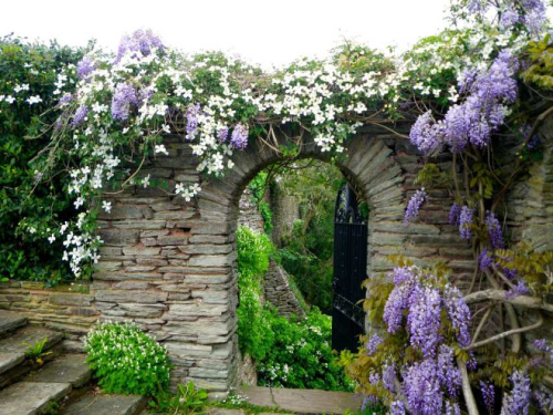 <p><a href="http://nordicsublime.tumblr.com/post/144989849367/hestercombe-garden" class="tumblr_blog" target="_blank">nordicsublime</a>:</p><blockquote><p>Hestercombe Garden</p></blockquote>