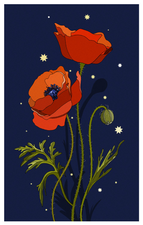 lilblueorchid:lilblueorchid:More starry flowers and some mushroom!Day 7 to 12 here!Woah thank you fo