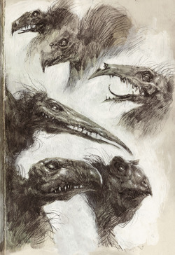 audreybenjaminsen:  Sketched some Skeksis