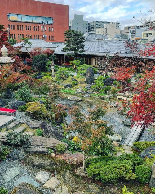 がんこ高瀬川二条苑（第二無鄰菴）[ 京都市中京区 ] Ganko Takasegawa Nijoen Garden, Kyoto の写真・記事を更新しました。 ーー森鴎外の小説の舞台にも&hellip