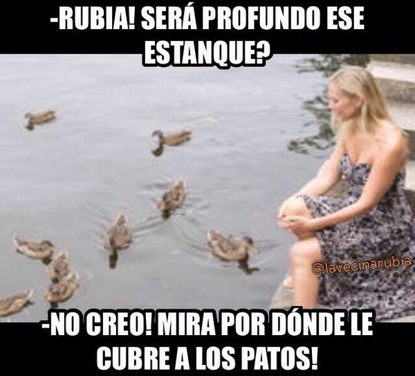 vejiga:     