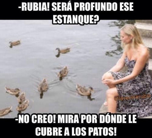 vejiga:     