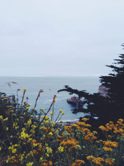 leebarguss:  (by Kevin Russ)