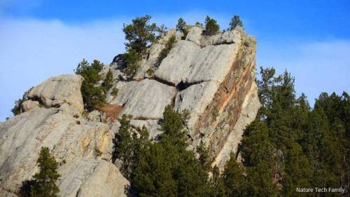 naturetechfam:Some of the beautiful #geological formations near our home in Custer. #blackhills #sou