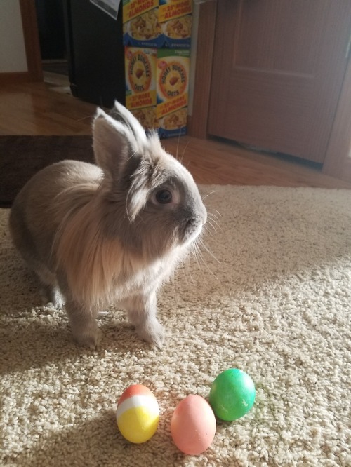 Happy Easter from Leona and friends