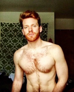 Ginger Genes