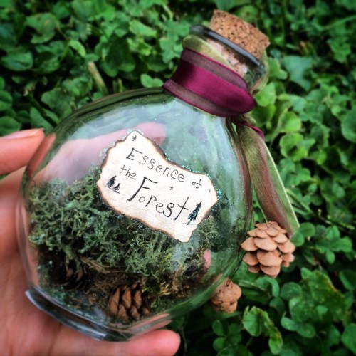 This gal made these magic bottles and they&rsquo;re amazing.  via