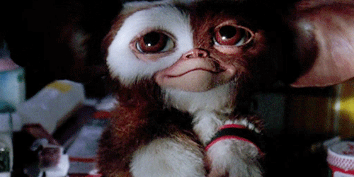 Gizmo Gremlins Tumblr Posts Tumbral Com