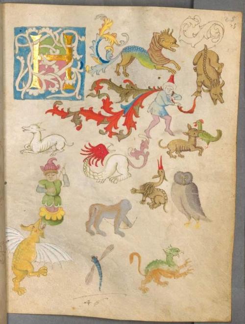 The illuminated sketchbook of Stephan Schriber is a series of pages dating from 1494 in which &ldquo