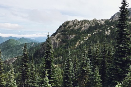 On the way up Mount Townsend // Olympic Peninsula // www.willvastine.com