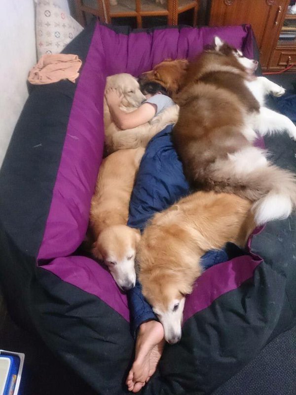 babyanimalgifs:  Heaven is real