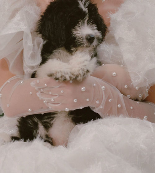 bebemoon:rodarte spring 2o2o must-haves: tulle gloves with pearl embellishments and puppies