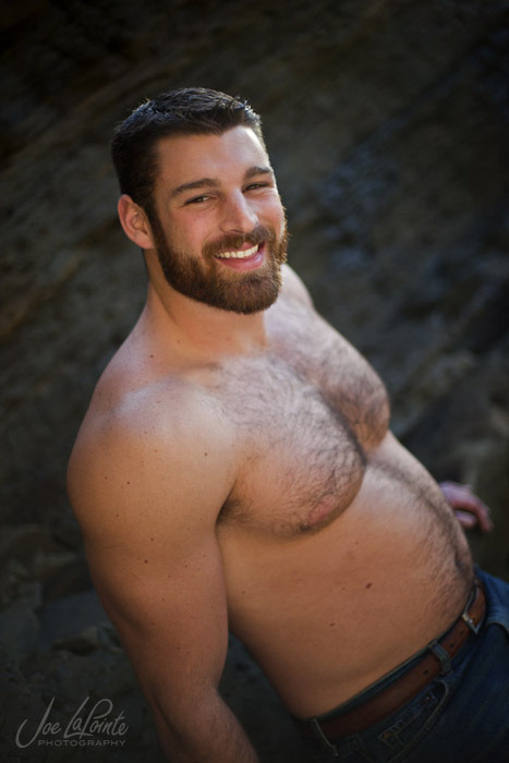 Bearded Stallions