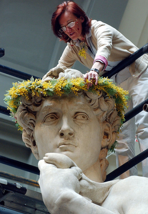 marthajefferson:In honor of international women’s day, restorers placed a crown of Mimosa flowers on