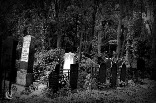 Jüdischer Friedhof Weißensee (Berlin// Weißensee// Germany)