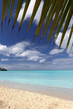 ponderation:  Antigua Caribbean by SysaWorld Roberto Moiola  