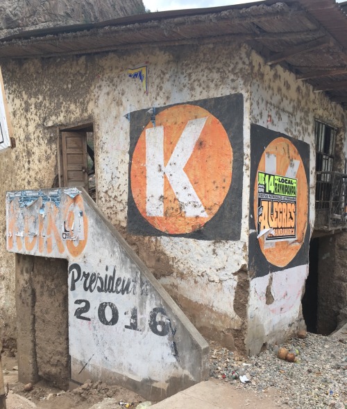 Official political signs, signals and slogans, on adobe brick and plaster walls, seen in various vil