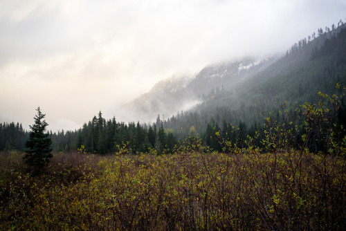 90377:Snoqualmie by Tom