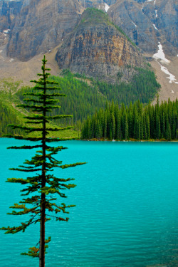 touchdisky:  Moraine Lake, Alberta | Canada