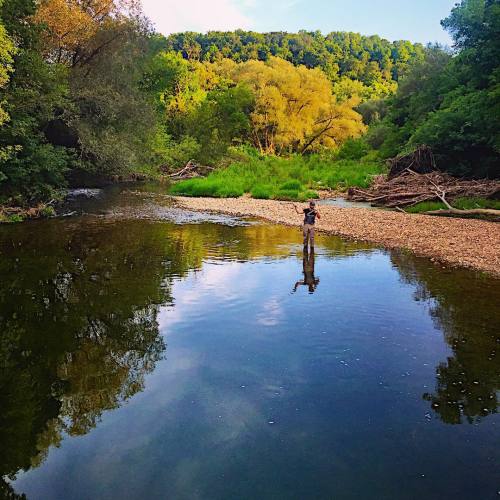 It was a hopper dropper kind of night. #wisconsin #driftless #flyfishing #troutbum #mendyourlinebrah