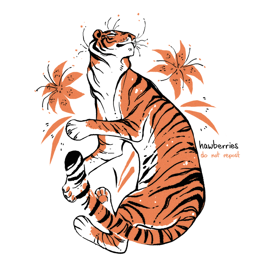 hawberries:tiger / lily