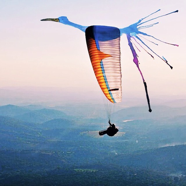jedavu:  Colorful Illustrations Added to Photos Transform Reality into Fantasy Rio