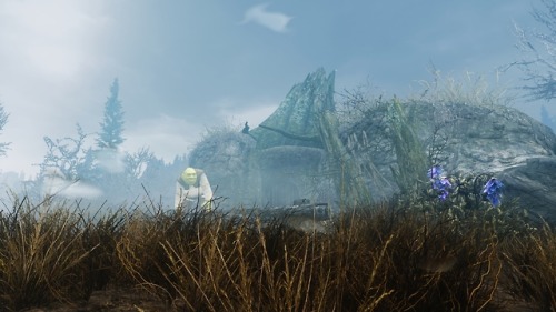 iamthekingofsass:  gorgon-zolas-junk:  Shrek’s Swamp House by  UnimpressedPanda  Shr