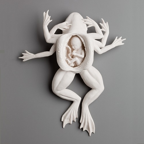 karaschneikart:  strangebiology:Sculptures by Kate MacDowell.  These are insane