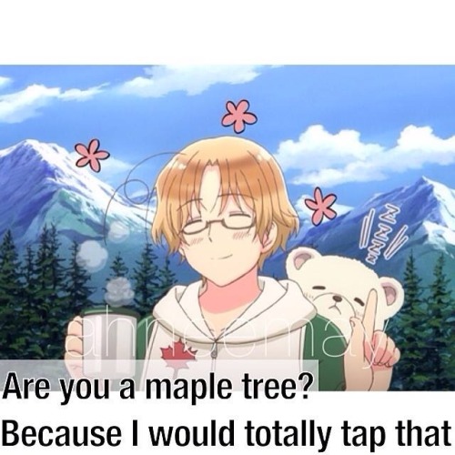 pastabunnyveee:  Canada’s pick up lines I just cant…  I&rsquo;m not big on Hitallia