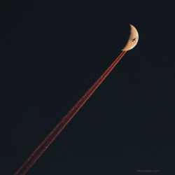 nevver:Fly me to the Moon