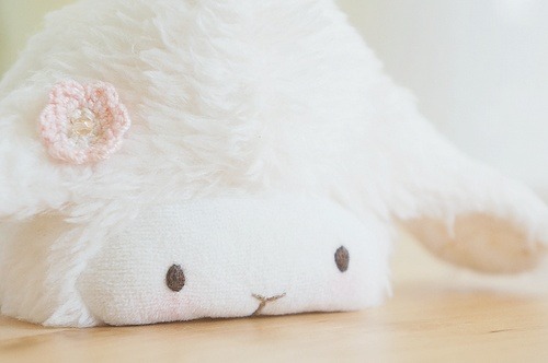 sleep-tight-kitten:  *grabby hands* 💕