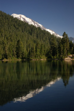 frommylimitedtravels:  Mt. Rainier reflecting