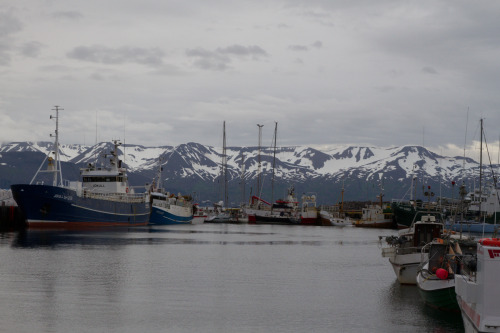 Húsavík, Iceland (July 2014) 