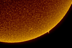 space-pics:  A prominence on the Sun imaged