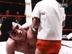 its-a-different-world:  hopeful-melancholy:  Muhammad Ali   I am slain 